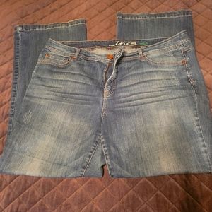 Womens Inc Jeans